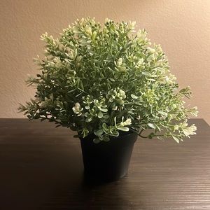 Its a cute (fake) plant decoration for anywhere!